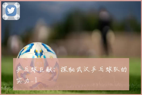 乒乓球巨献：探秘武汉乒乓球队的实力_1